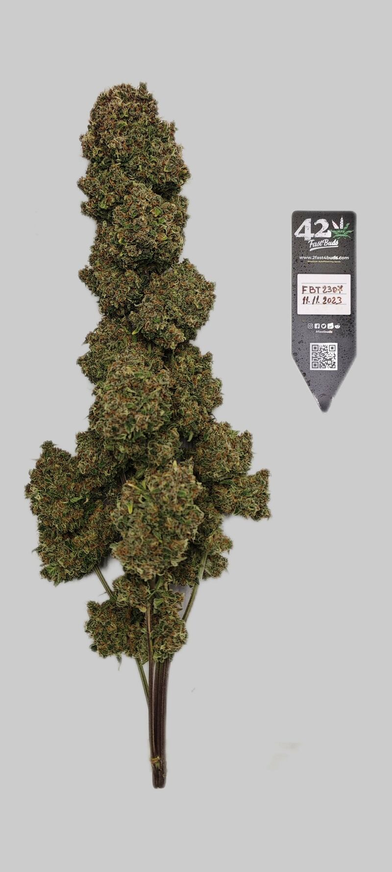 Guava Auto, Фасовка: 5, изображение 20